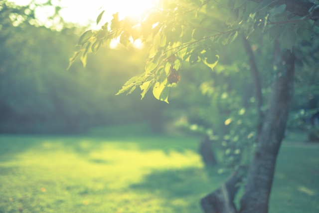 環境への取り組み